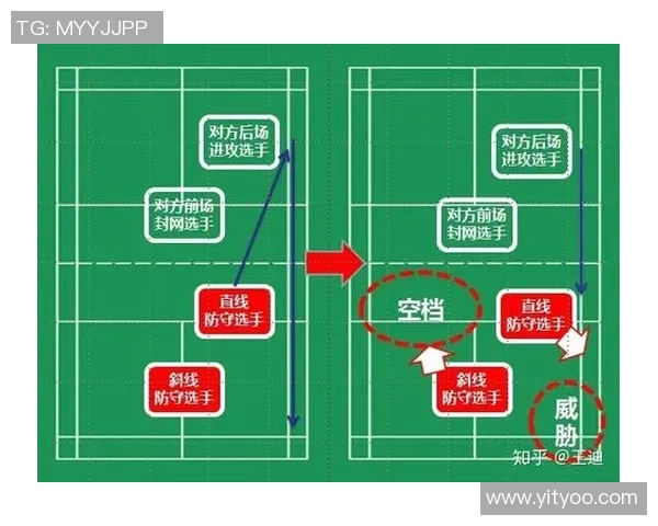 从零基础到高手之路羽毛球技巧与训练全解析